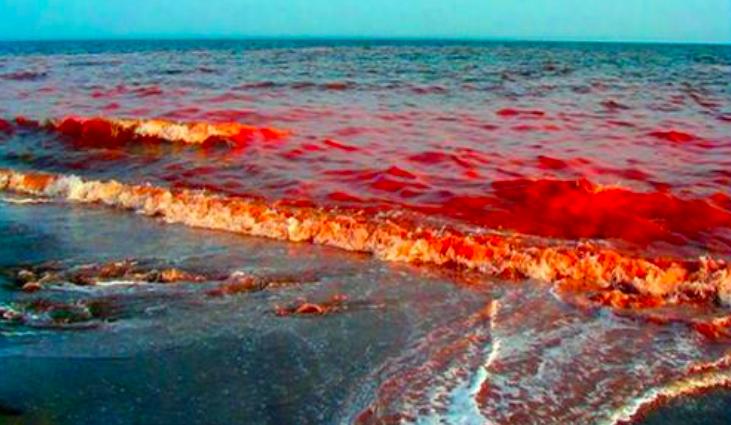 这种贝比眼镜蛇毒强80倍，海员食用后中毒身亡，为何还常被人吃