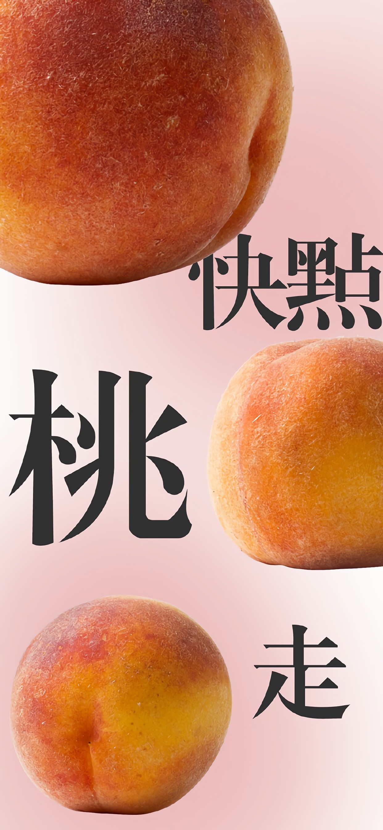 高清美食手机壁纸图片大全,高清手机壁纸美食简约