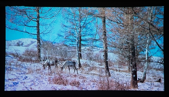 viewsonic投影仪q30,viewsonicm1投影仪