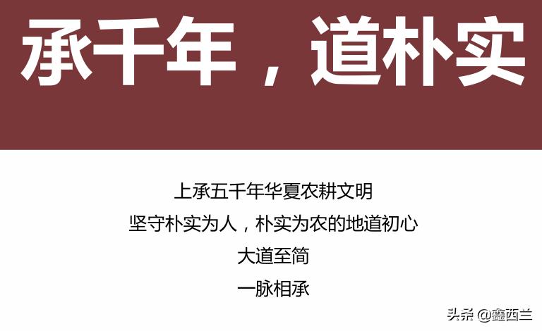 农产品品牌打造的思路与方法,农产品爆款技巧