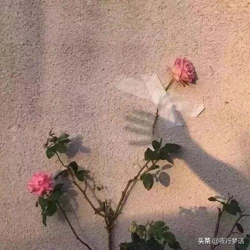 朋友去世要不要删除联系方式,朋友过世后联系方式要不要删除