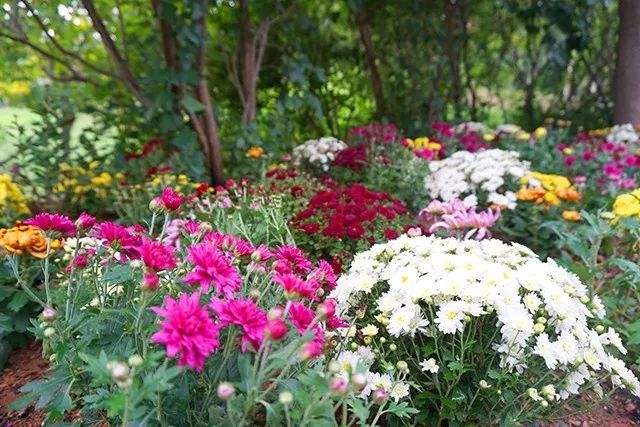 大连重阳节旅游攻略,大连九月秋游攻略