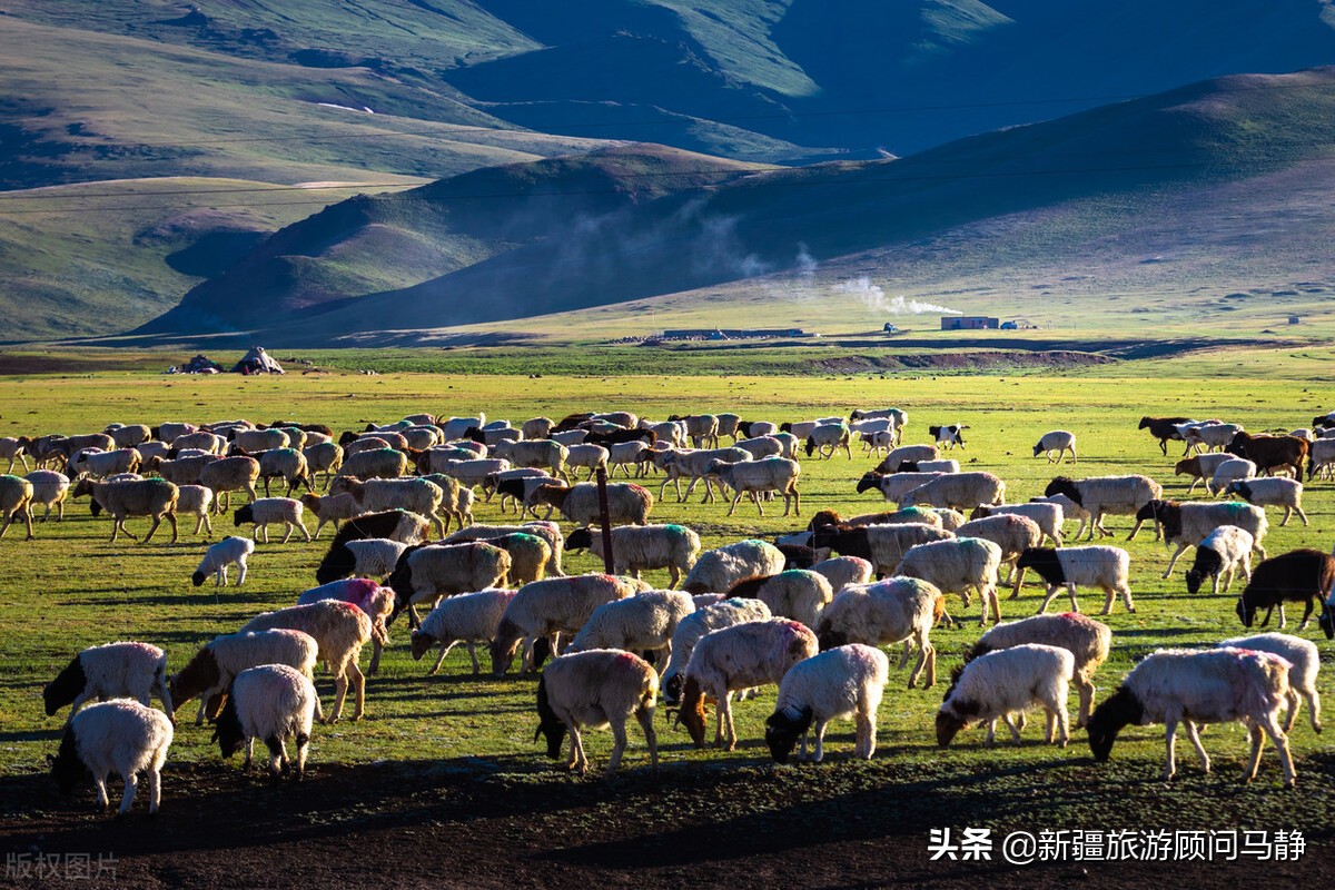 南京禄口机场疫情波及多地乌市：江苏、沈阳、中山来乌人员需隔离