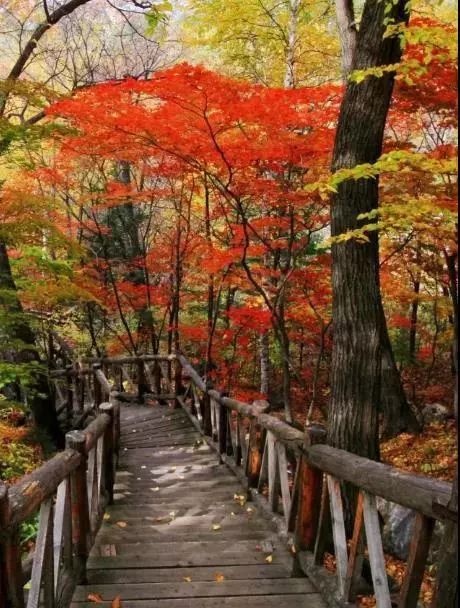 昌平自驾游京郊最佳好去处,北京昌平区冬季旅游