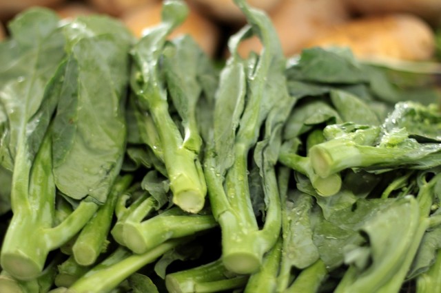 八月份最适合种的蔬菜,八月份都种什么蔬菜最合适南方