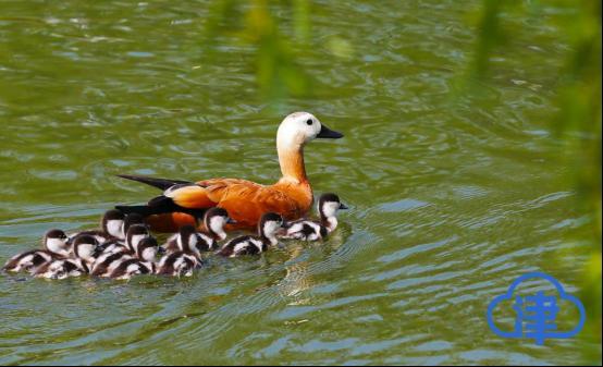 【津云镜头】降级之后，精彩假期
