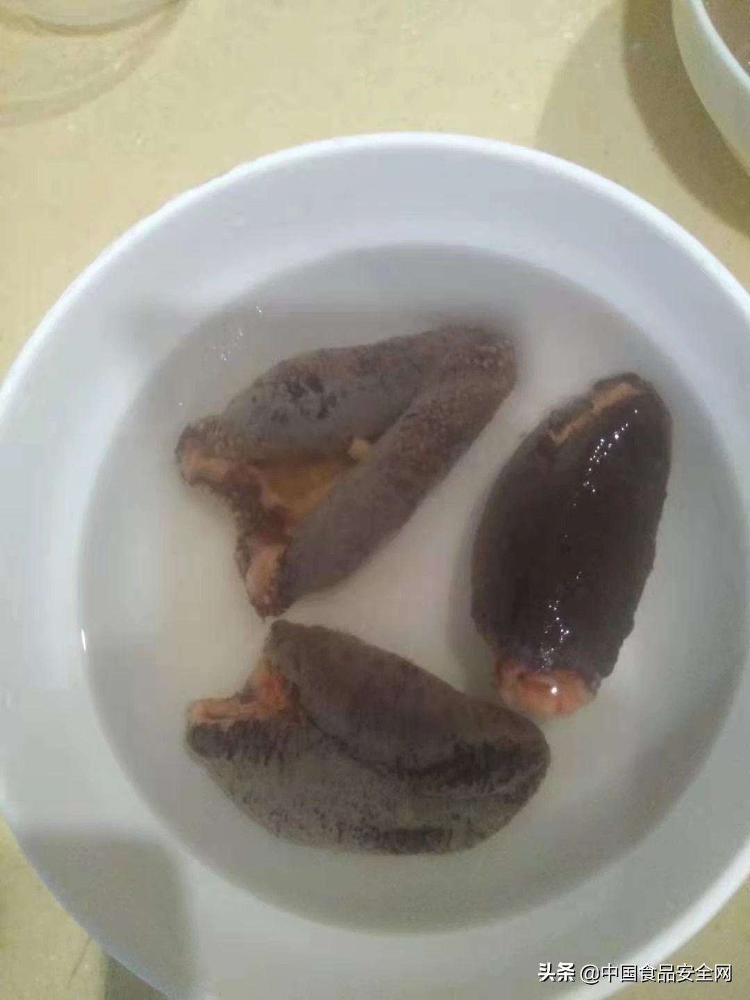 食用海参中毒什么反应,误食海参会中毒吗