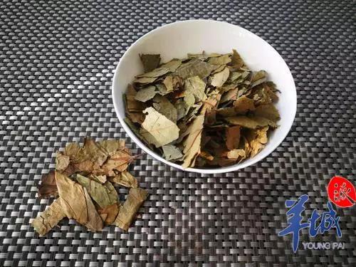 药材辨识｜最受凉茶界青睐的它，广东人不能不识——布渣叶