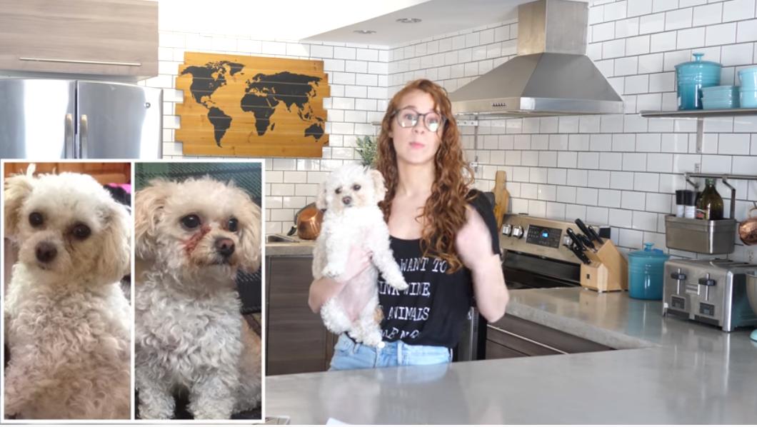 让狗狗便便黑又亮自制狗粮秘诀,自制狗狗去泪痕狗粮