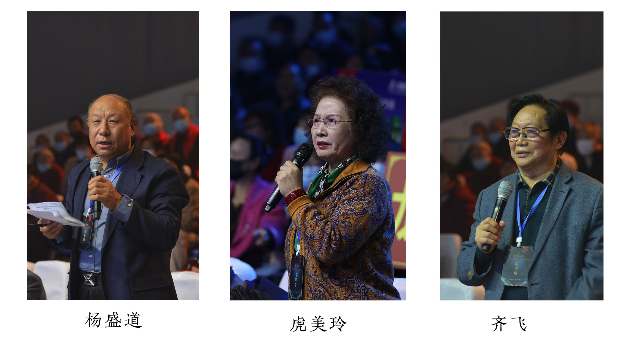 偃师杯戏曲红梅奖大赛,河南省第九届戏曲红梅杯获奖名单