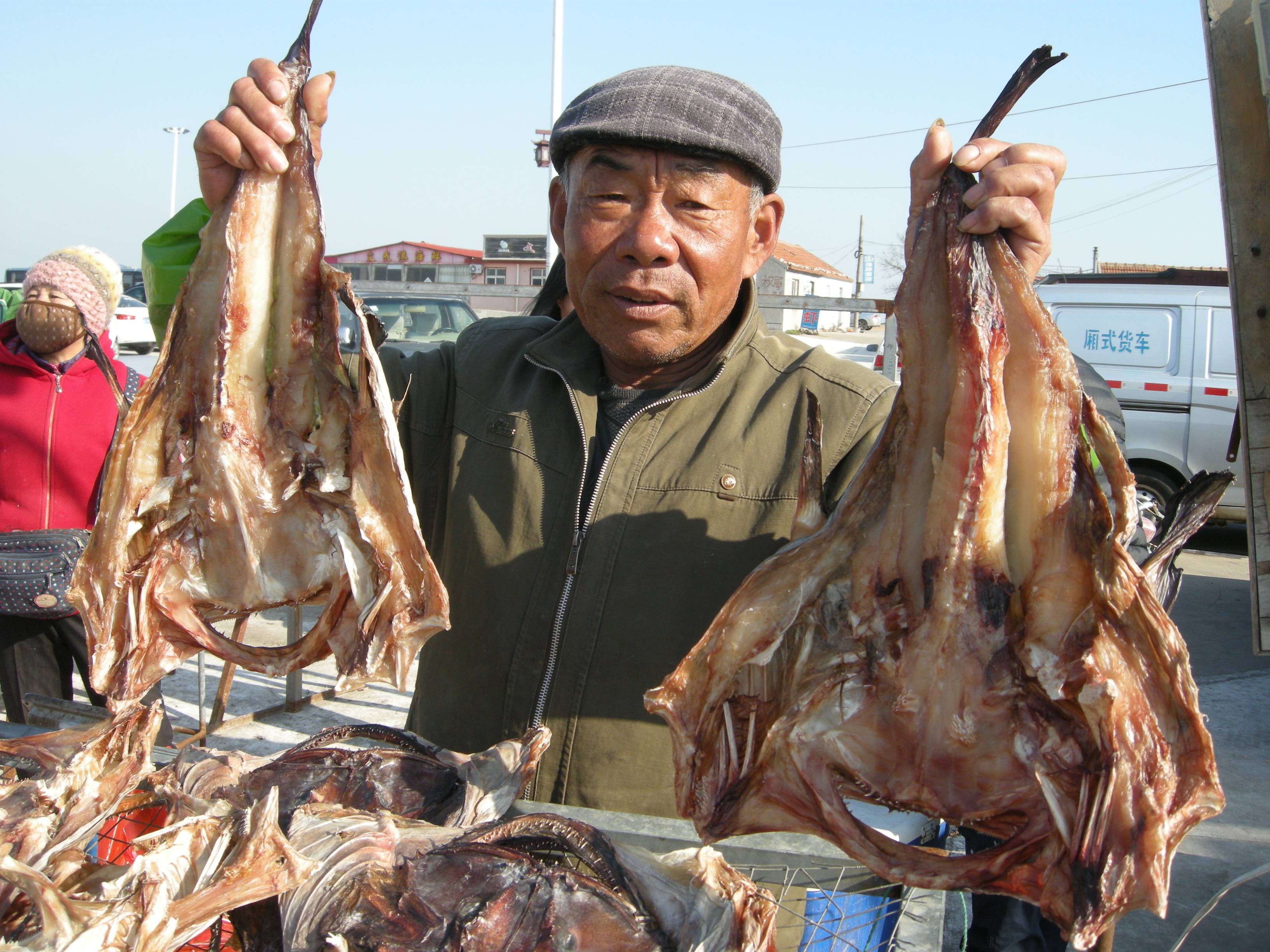 青岛港东码头开渔节,青岛港东码头赶海最新