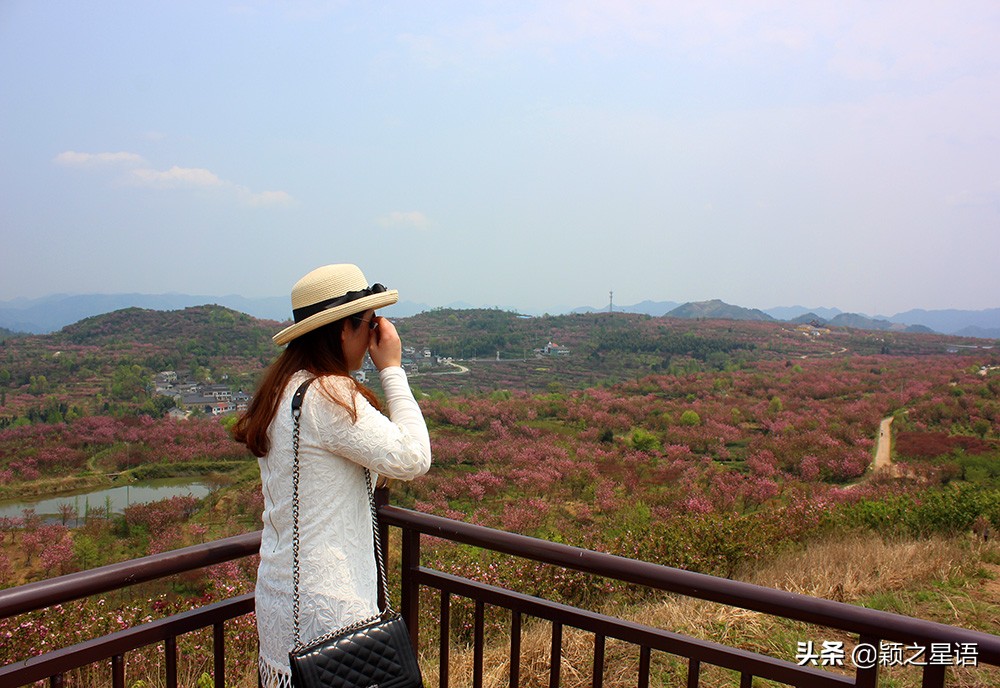四明山十大观景台排名,四明山观景平台海拔