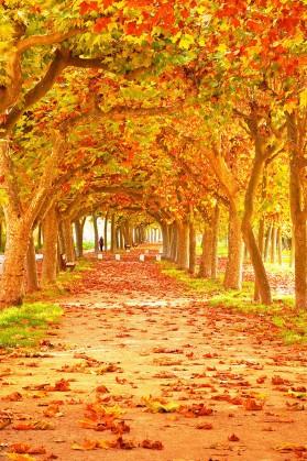 抗生素不良反应案例,抗生素副作用几时可以消除