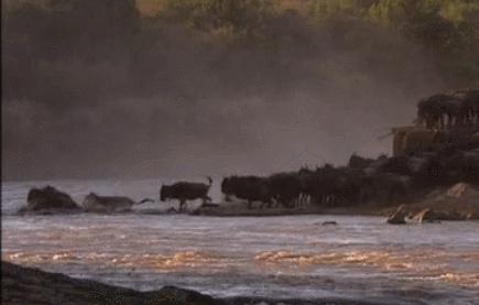 喜羊羊与灰太狼原始世界纪录片,喜羊羊与灰太狼每部片讲述的道理