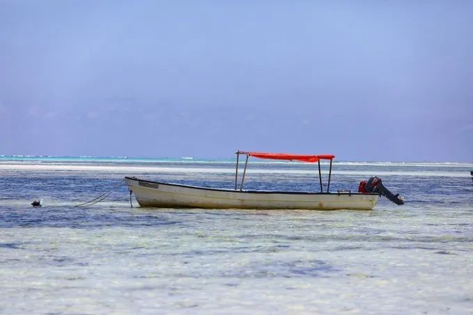 坦桑尼亚之旅,坦桑尼亚东非草原