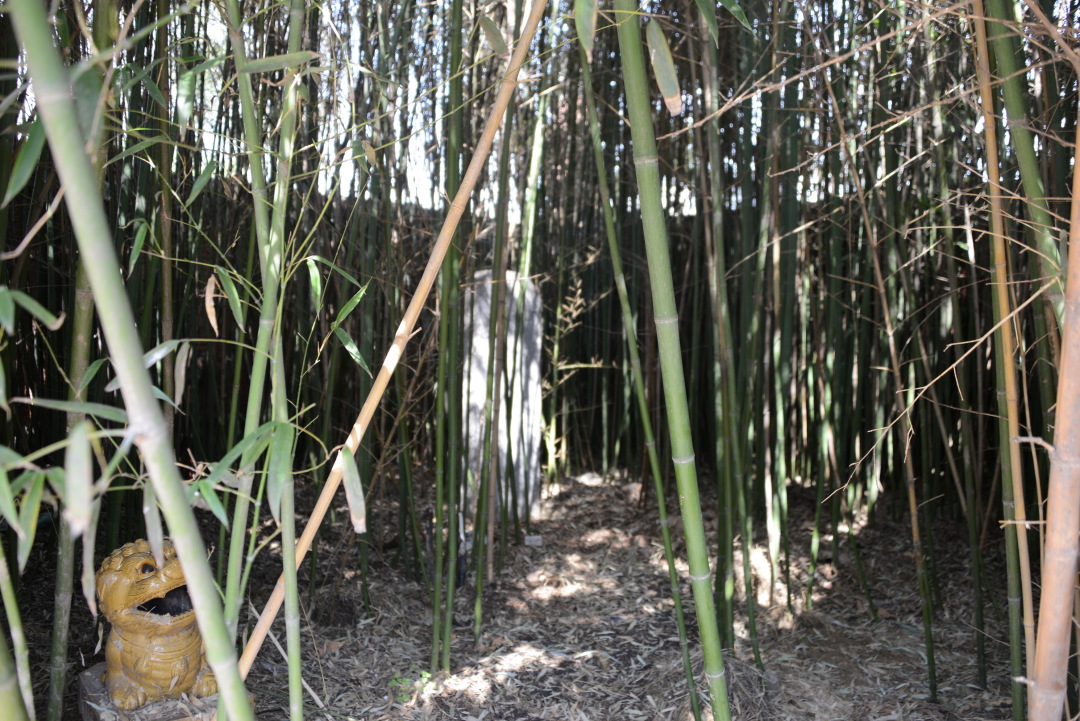 南阳诸葛书院,南阳卧龙岗诸葛书院