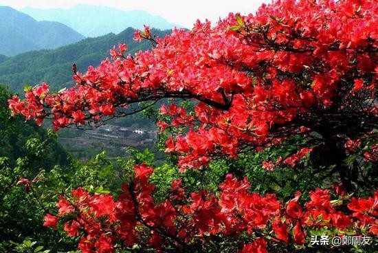 河南的十大旅游景点推荐,河南最美的十大胜地