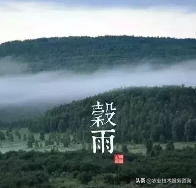 农事节气谚语,农事歌大全