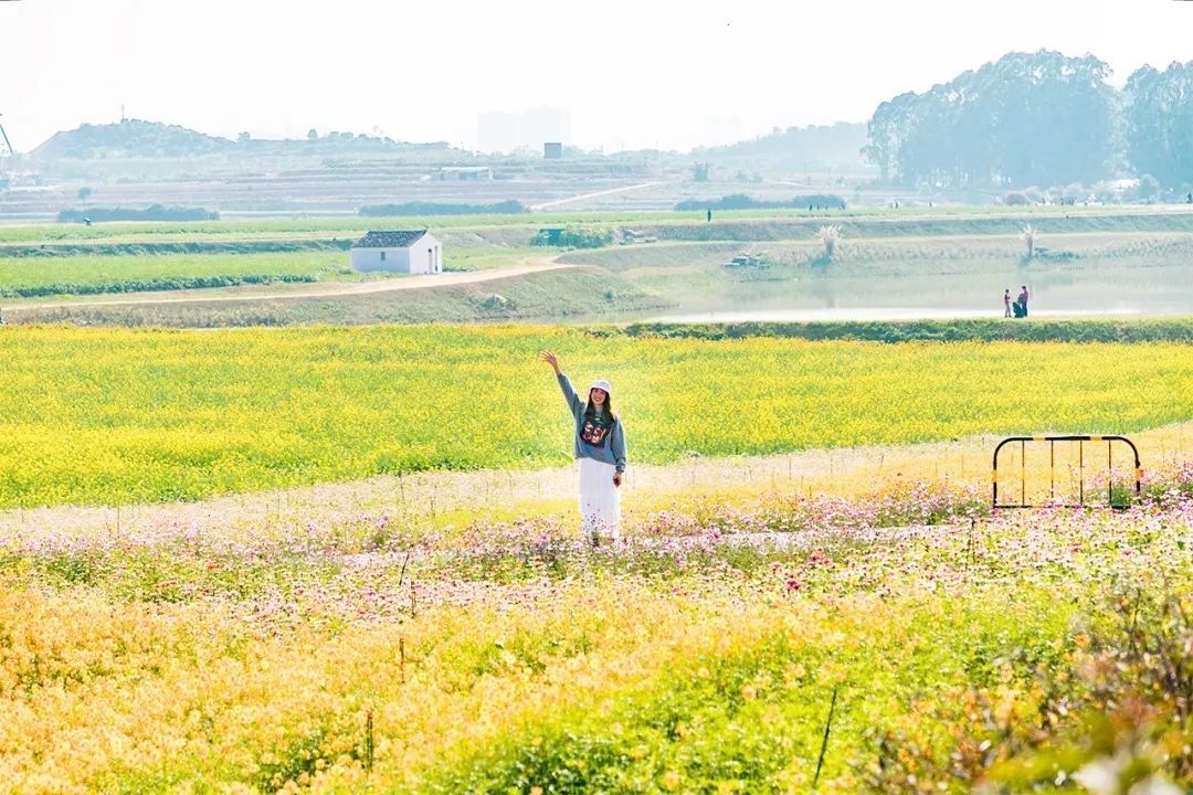 去深圳免费游玩的10个地方,深圳免费游玩景点推荐