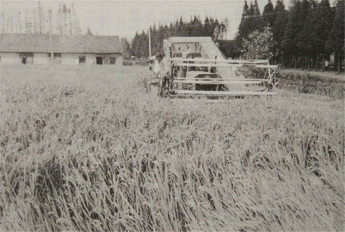 在浦东开放开发30周年上的讲话,而立浦东纪录片第6集