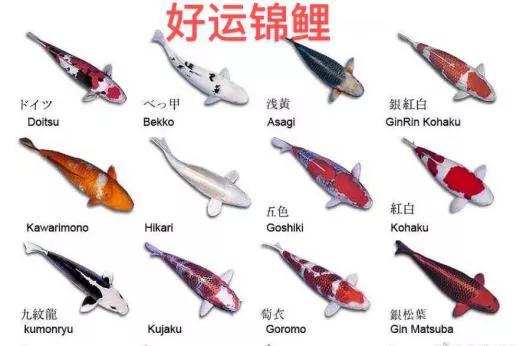 00后和90后区别的梗,90后和00后的差别段子