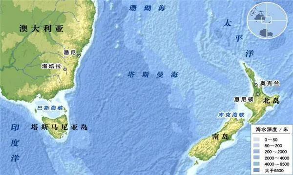 海豚“杰克”在暗礁海域为船只引航41年，爱让我们更懂得善待生命