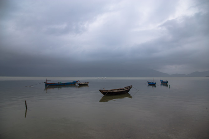 华人在越南经济地位,华人在越南的历史