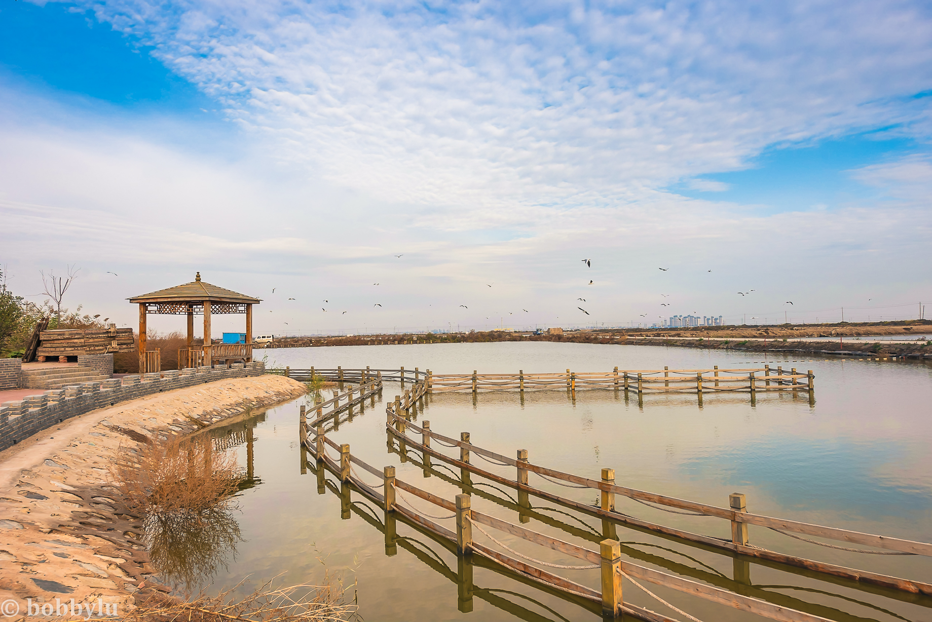 暮秋时节游曹妃甸、体验十里海网红民宿，感受渔村美食与文化