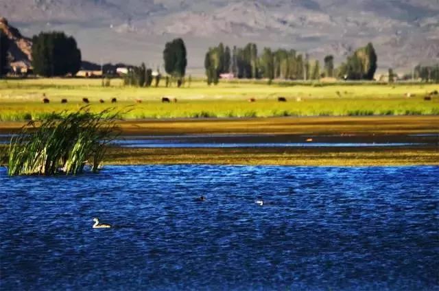 北疆大环线自驾游路线推荐,北疆大环线15天自驾游攻略