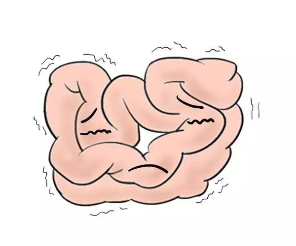 盆底肌真的可以治疗便秘,盆底肌跟便秘有关吗