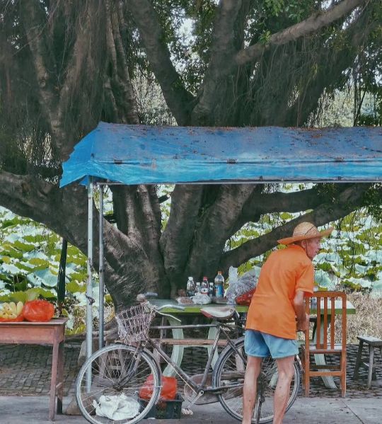 炭步镇古村落图片,花都炭步塱头古村落