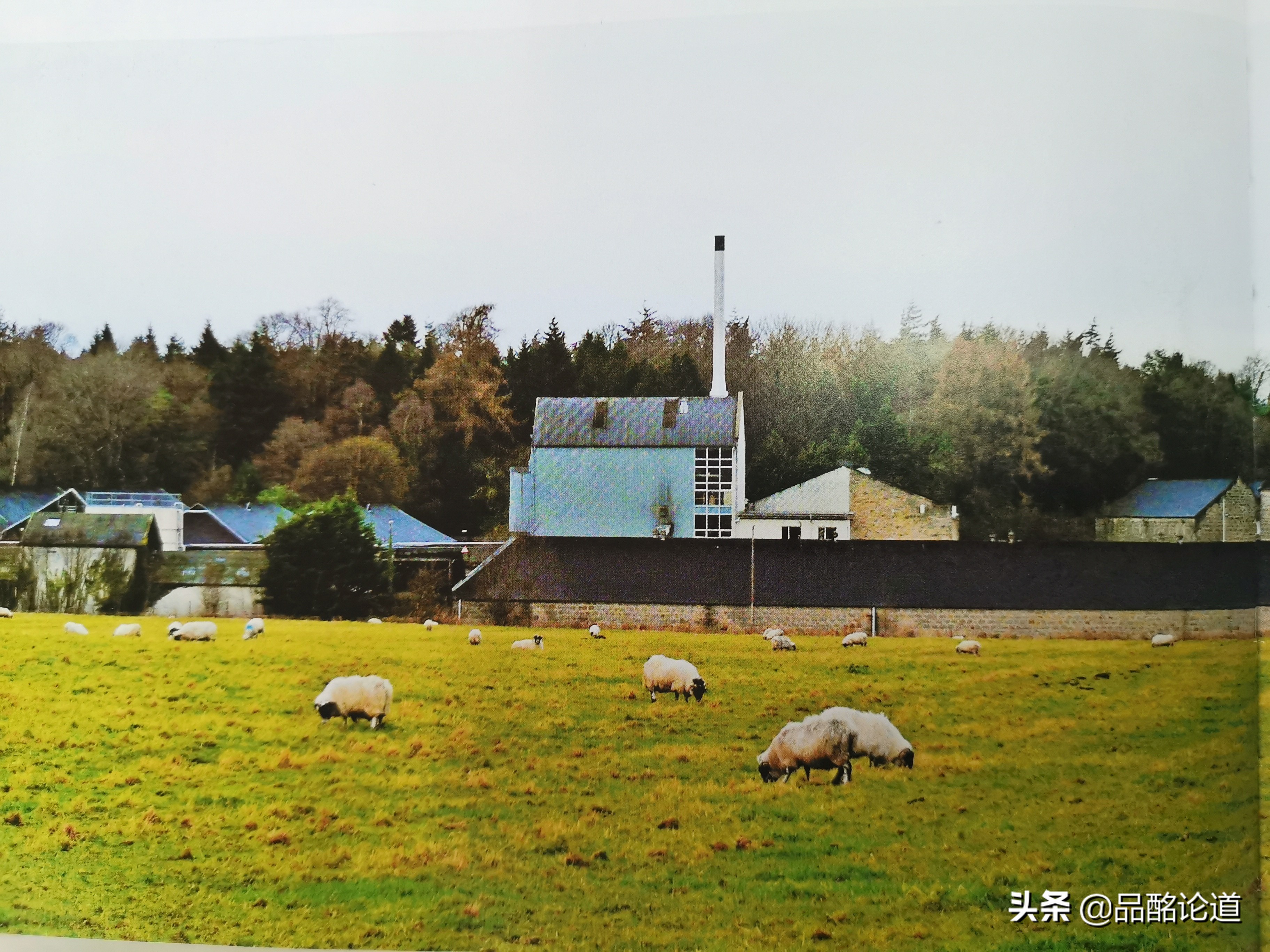 与山崎口味最相近的苏格兰威士忌,类似山崎的苏格兰威士忌