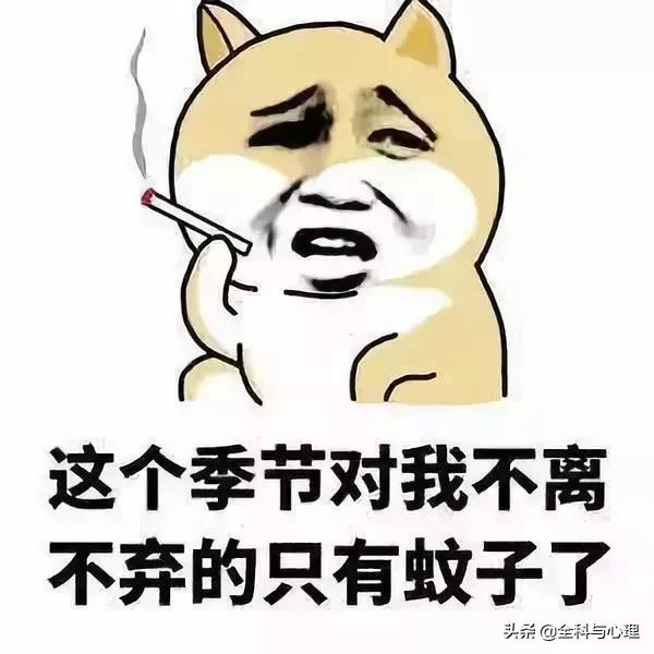 蚊子为啥咬你你心里真的有数吗,为什么蚊子只咬你一个人