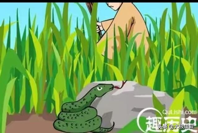 鎴愯鏁呬簨鎵撹崏鎯婅泧鎴愯鐞嗚В,鎵撹崏鎯婅泧鎴愯鏁呬簨瀵撹█鏁呬簨