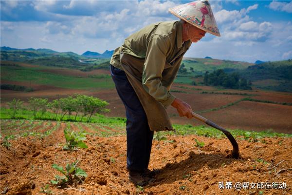 他山之石丨“拼”出新产业，小果子带来脱贫大希望，背后的故事都有啥