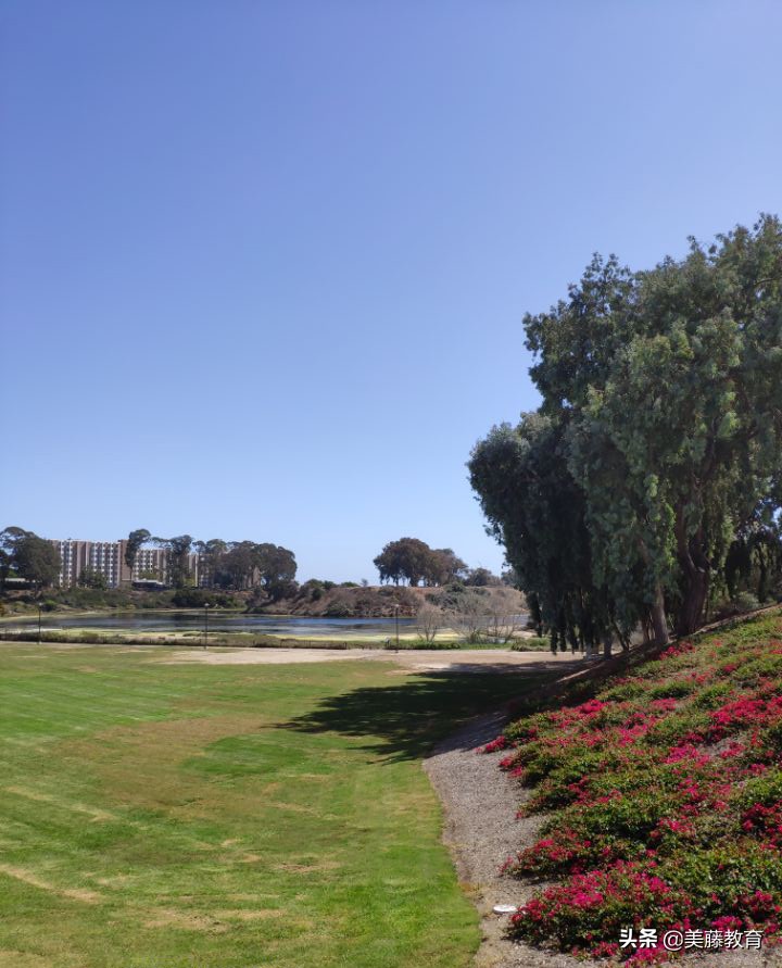 标化可以“选填”，SAT在新申请季还重要吗？