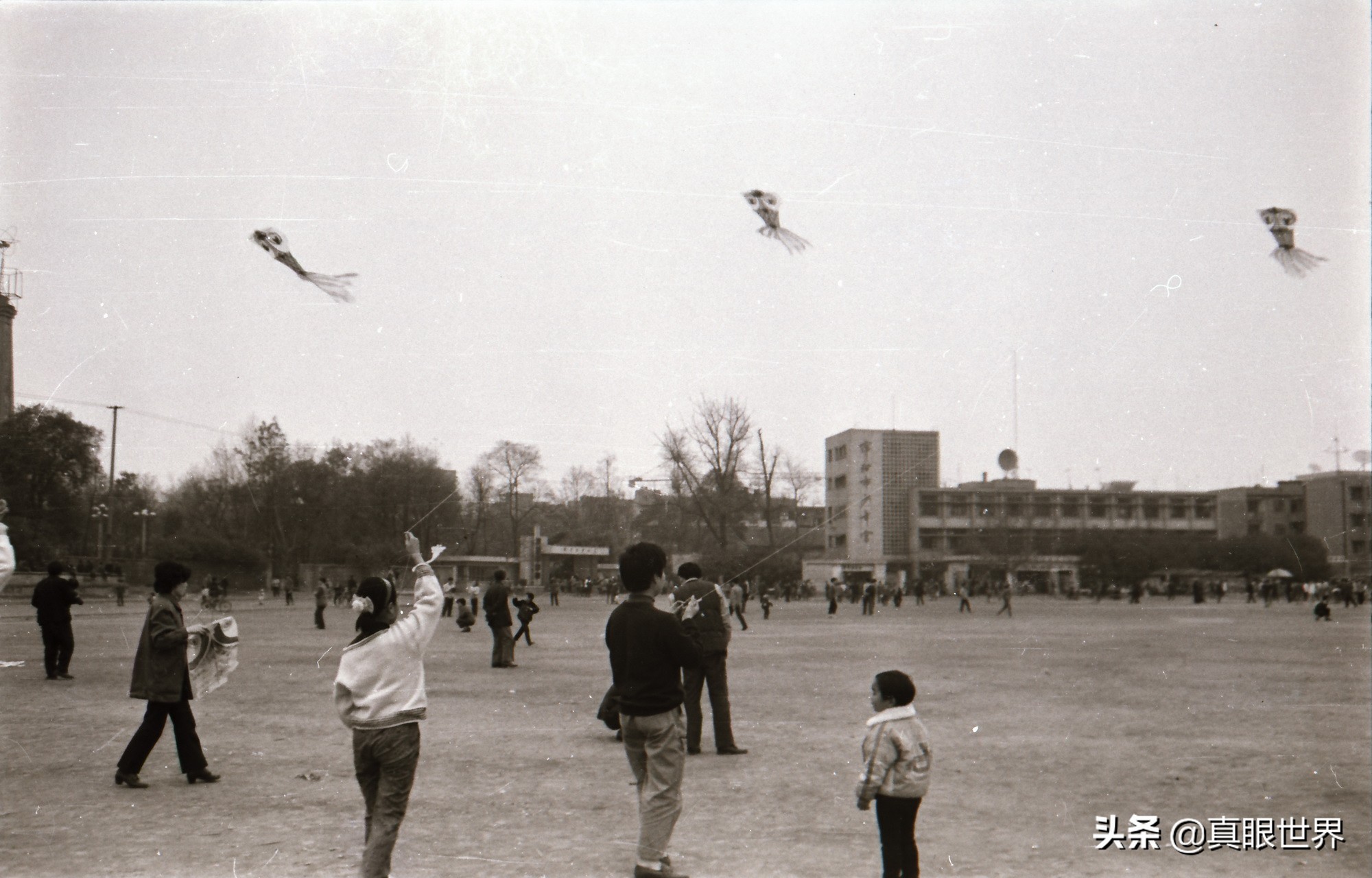 绵阳市文化广场,绵阳涪城文化广场在哪里