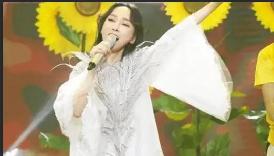 萨顶顶假唱转话筒事件结果,萨顶顶有实力为什么要假唱