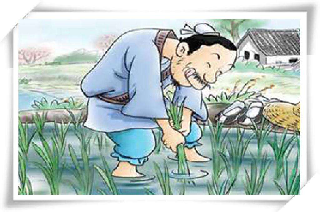 三年级课外阅读寓言必考题期末,三年级中国古代寓言阅读