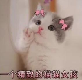 孕妇身体乳哪个牌子最好,口碑最好孕妇身体乳