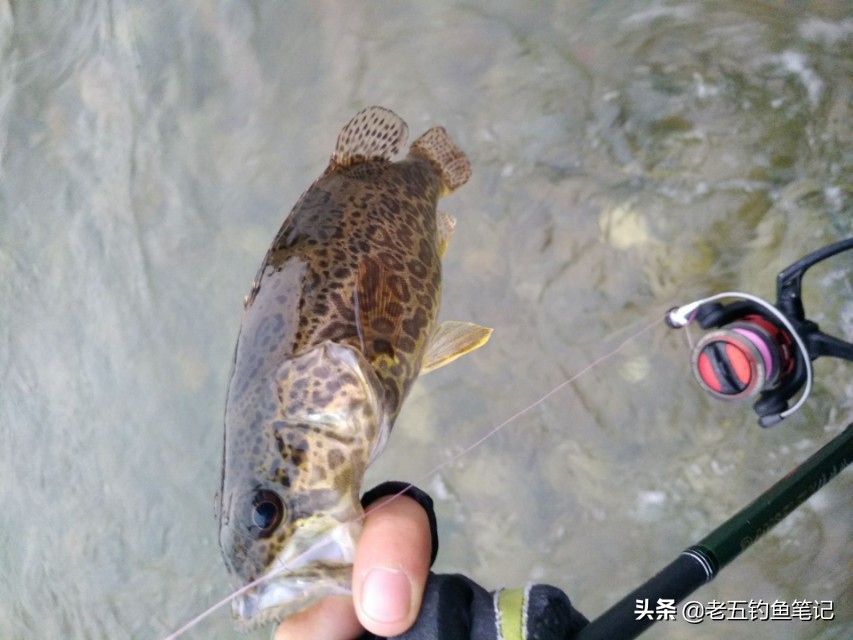 海竿浮钓的正确方法和技巧,海竿底钓正确方法与技巧