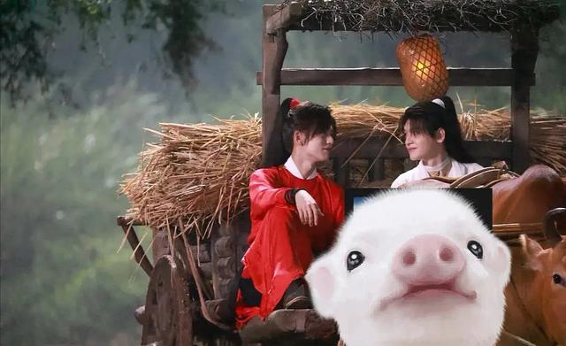 花怜牛车片段,花怜与牛车相遇