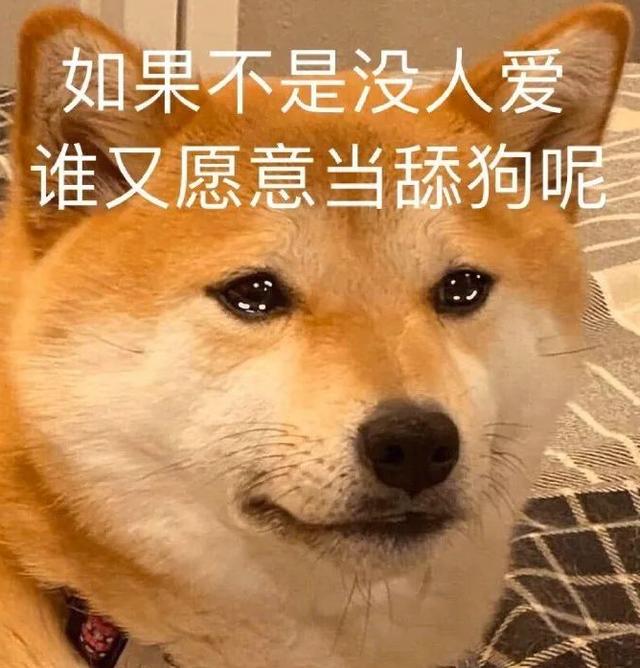 感情里经常当舔狗的星座男,越舔狗越不爱你的星座男