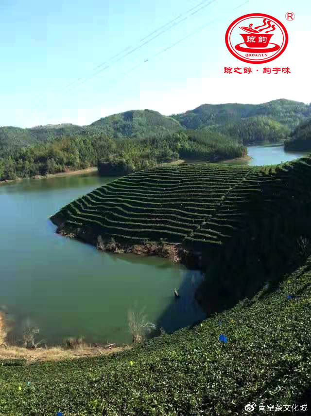 琼之醇茶业,琼之醇茶业图片