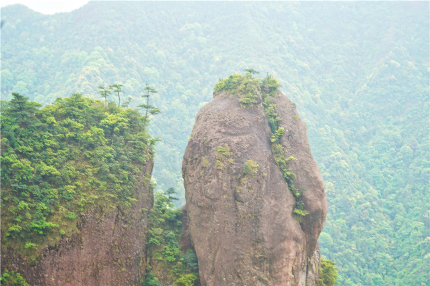 浙江有一个神奇山,浙江山里蝌蚪