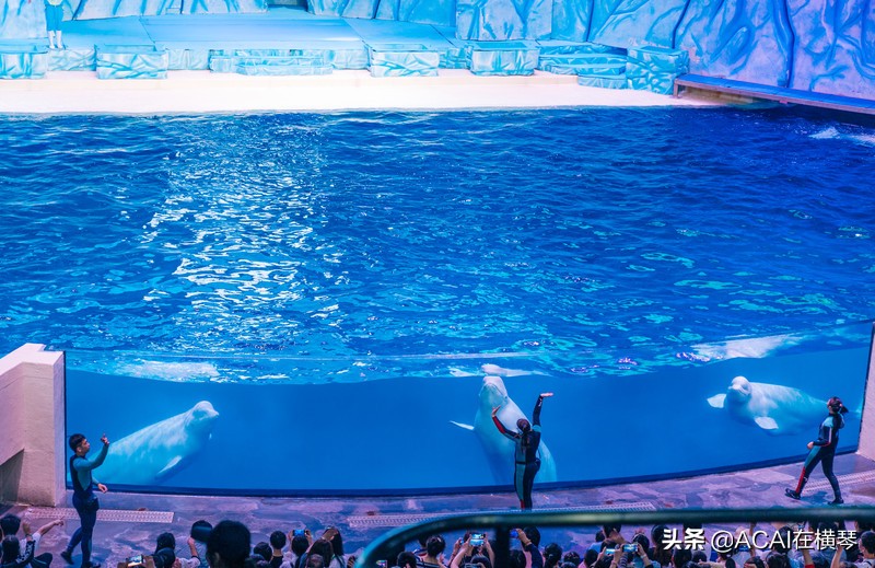 吃喝玩乐in珠海,珠海吃喝玩乐一体的地方