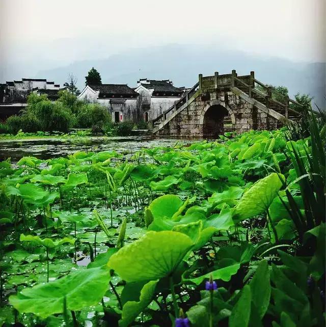 关于山居原创诗词五绝,七绝山居诗词鉴赏
