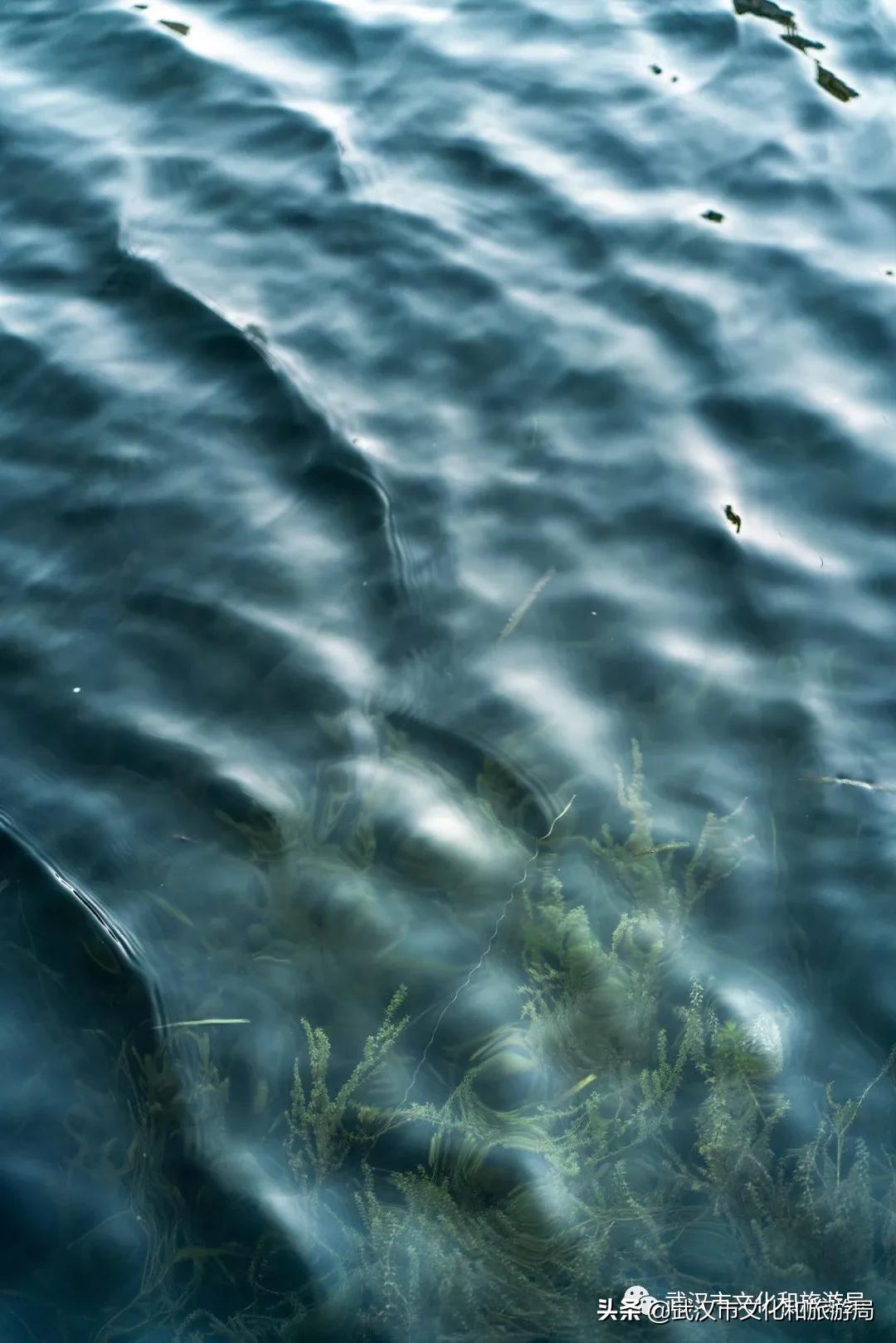 五一武汉小众宝藏旅行地,武汉有哪些宝藏打卡地点