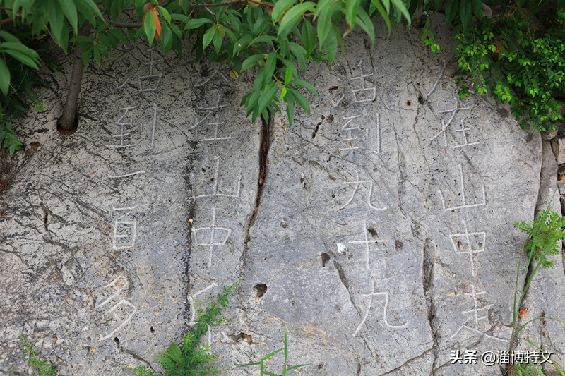 瑙︽懜涔℃剚鍙よ瘲鍥剧墖,瑙︽懜涔℃剚