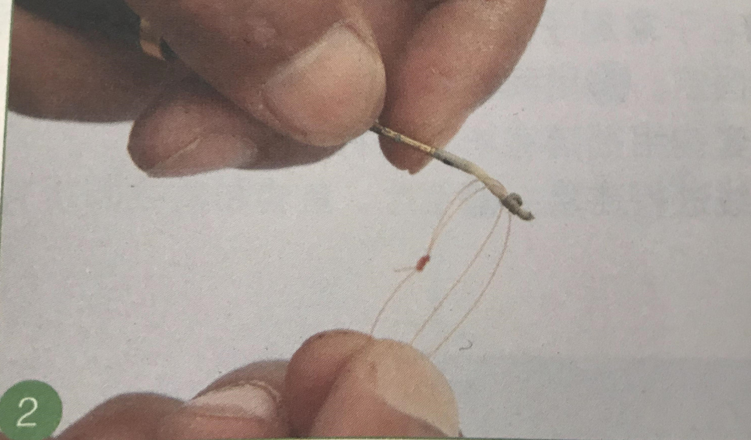 鱼竿竿稍断了鱼线怎么直接绑,鱼线和鱼竿的绑法新手